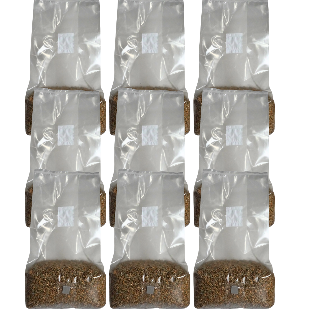 Sterile Mushroom Grain Spawn Kit (5 Pound)