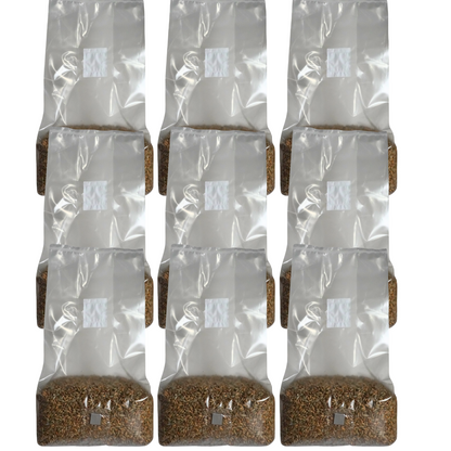 Sterile Mushroom Grain Spawn Kit (5 Pound)