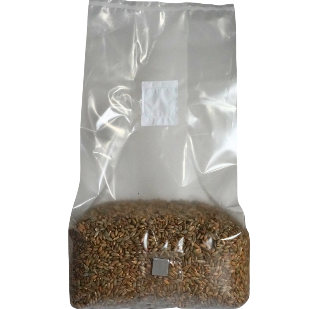 Sterile Mushroom Grain Spawn Kit (5 Pound)