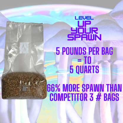 Sterile Mushroom Grain Spawn Kit (5 Pound)