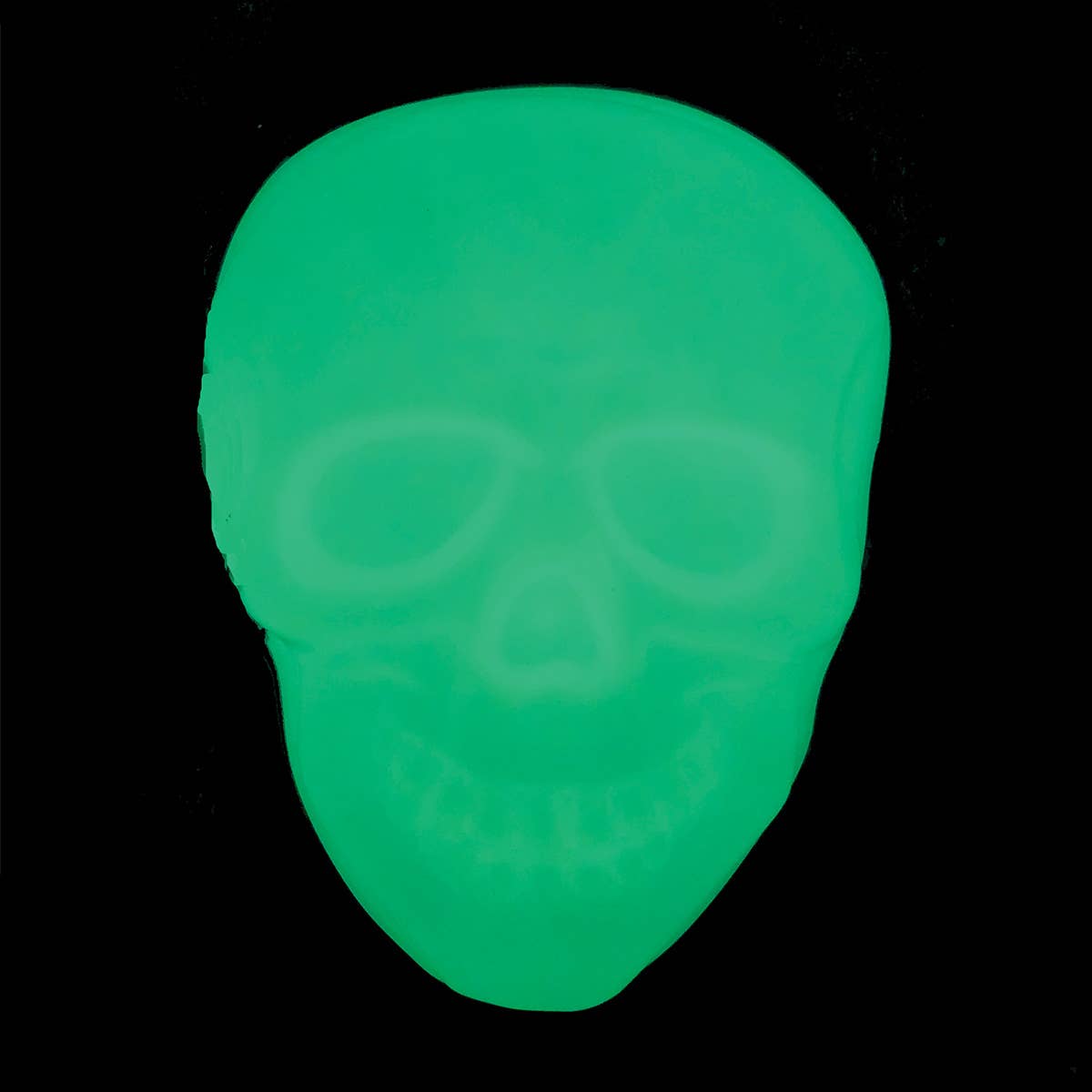 Glow in the Dark Skull Head Crossbody Bag Quirks!