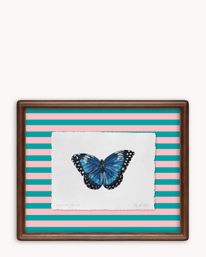 Blue Butterfly Limited Edition Framed Print
