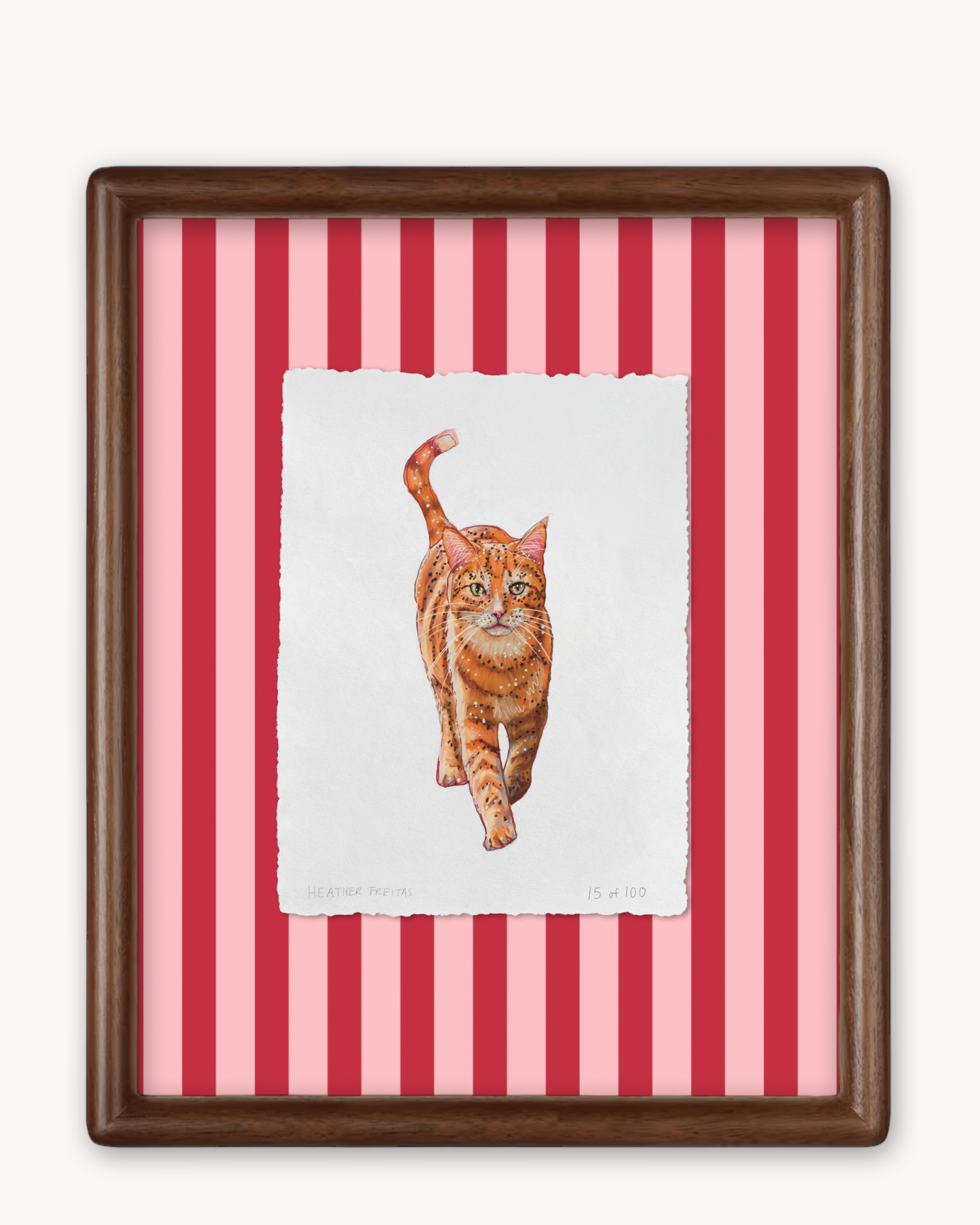 Orange Tabby Limited Edition Framed Print