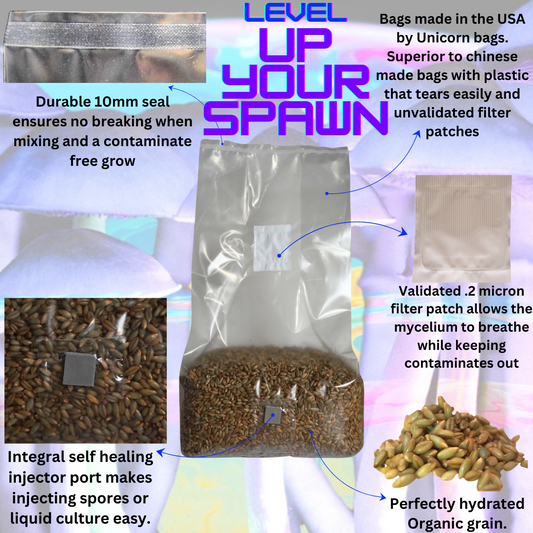 Sterile Mushroom Grain Spawn Kit (5 Pound)