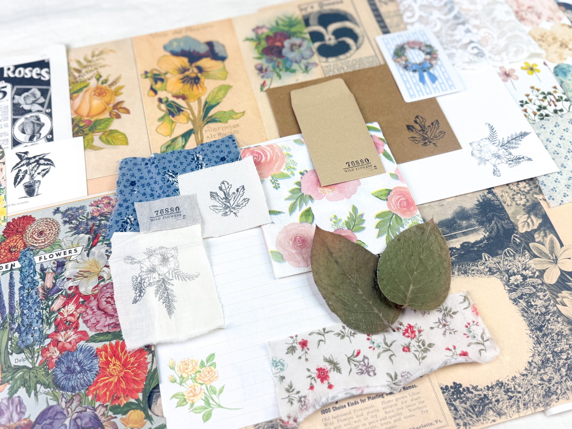 Botanical and Nature Ephemera Kit A House of Books