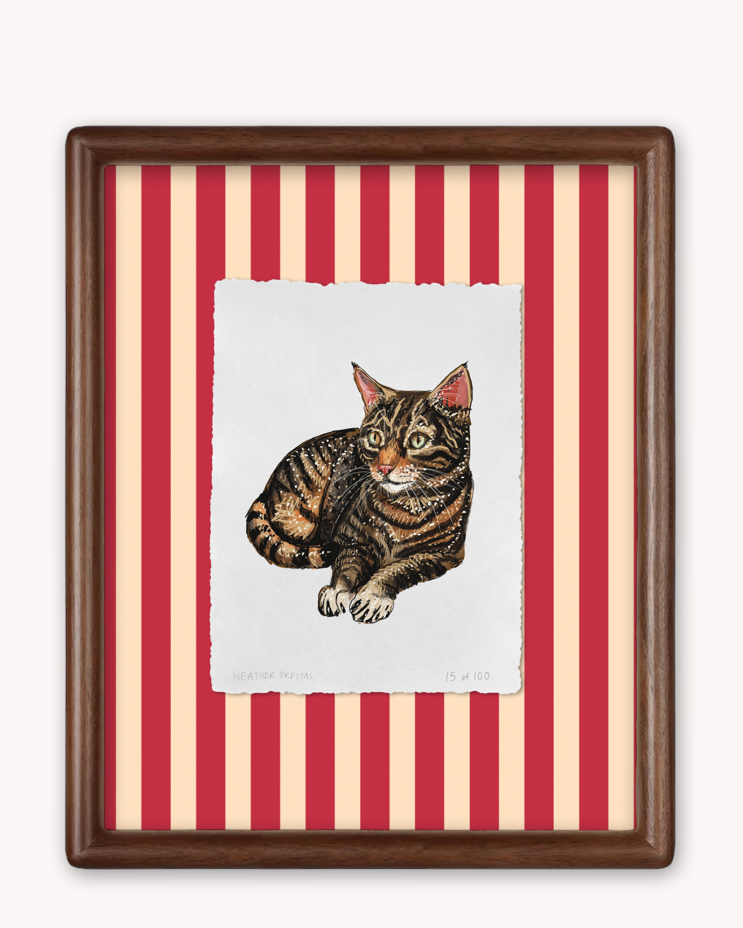 Tabby Limited Edition Framed Print
