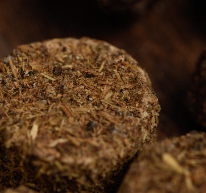 7 Day Cleansing Charcoal Tablets | Meditation | Yoga