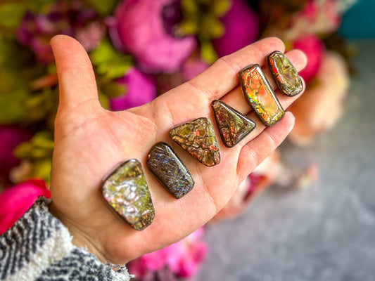 Ethically Sourced Ammolite From Canada