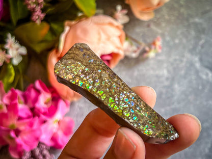 Ethically Sourced Ammolite From Canada