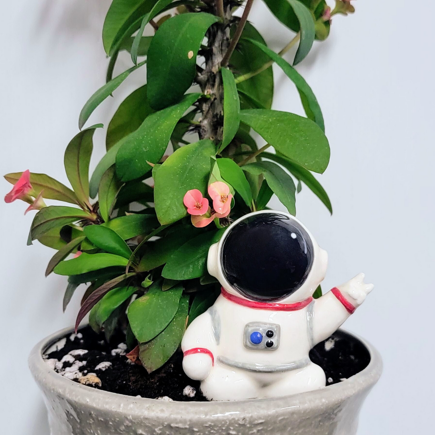 Ceramic Self-Watering Plant Spike - Astronaut Watering Spike Mountain Mudworks