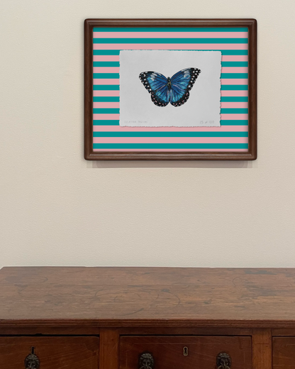 Blue Butterfly Limited Edition Framed Print