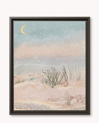 Salt Framed Canvas Print