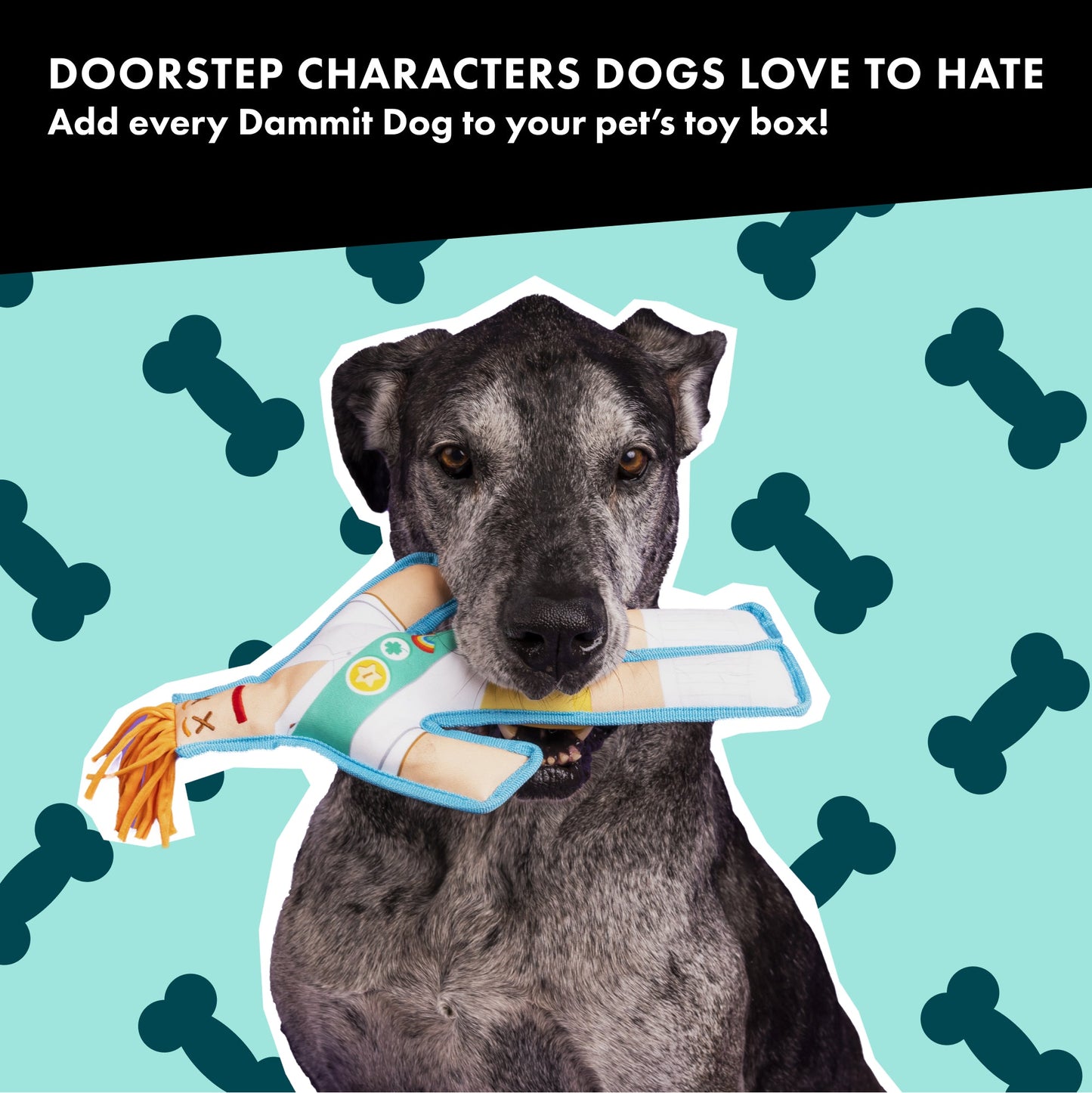 Cookie Scout Squeaky Chew Toy