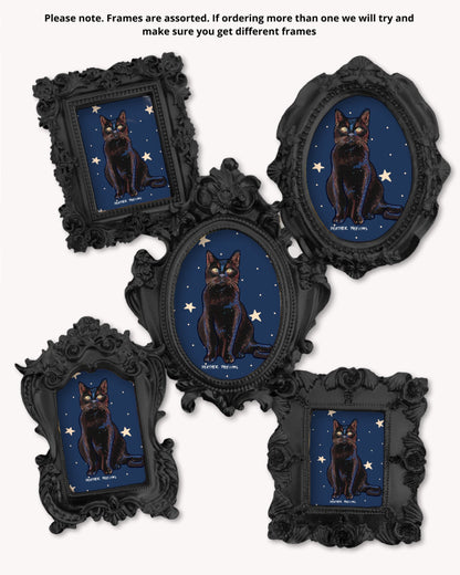 Black Cat - Mini framed print