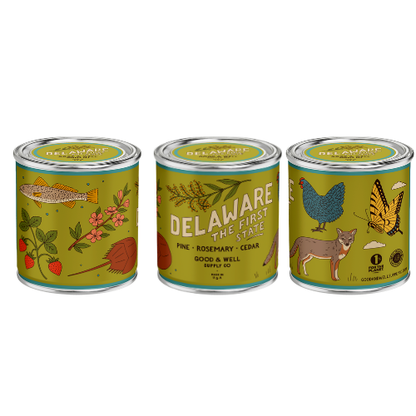 Delaware State Candle
