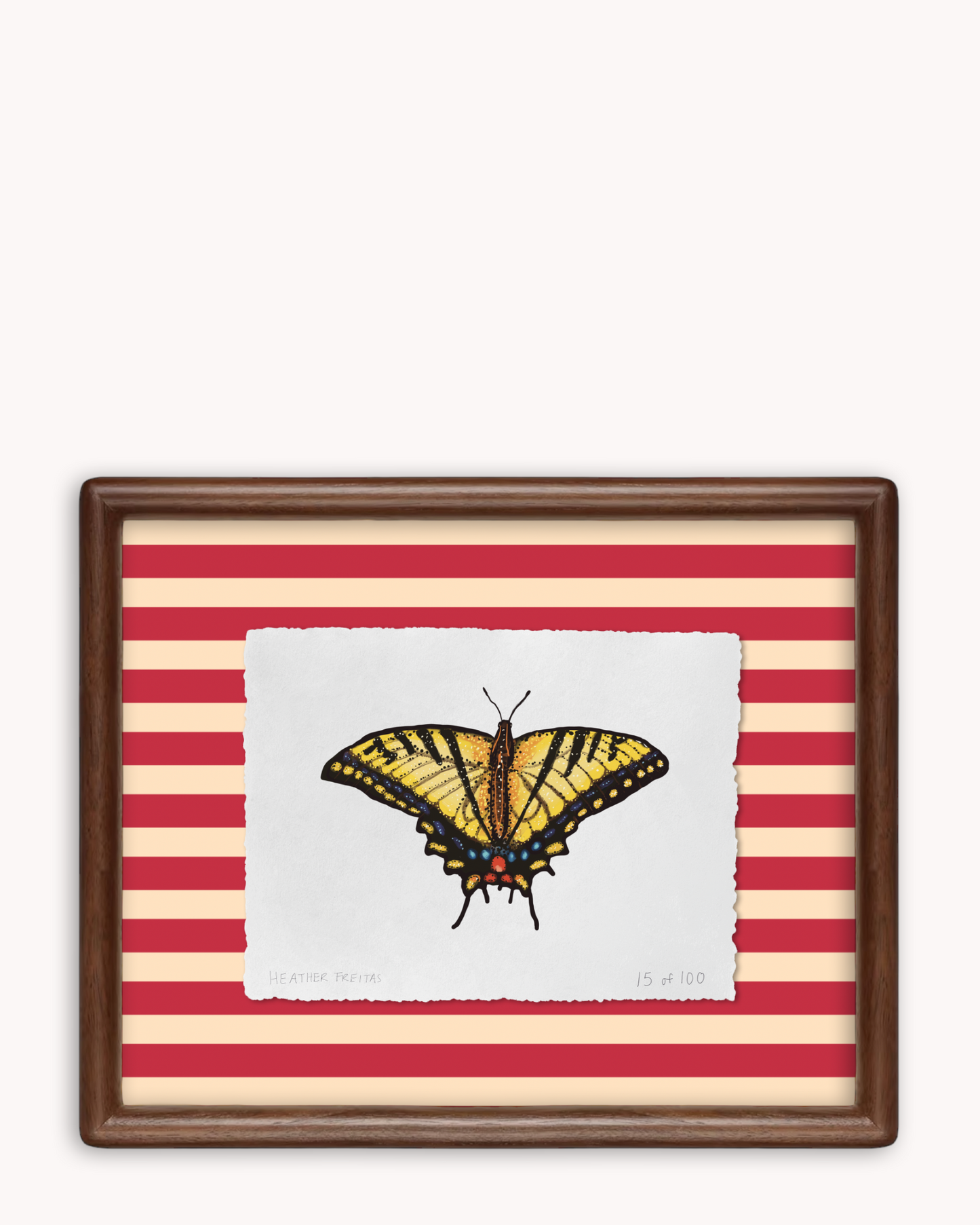 Yellow Swallowtail Butterfly Limited Edition Framed Print
