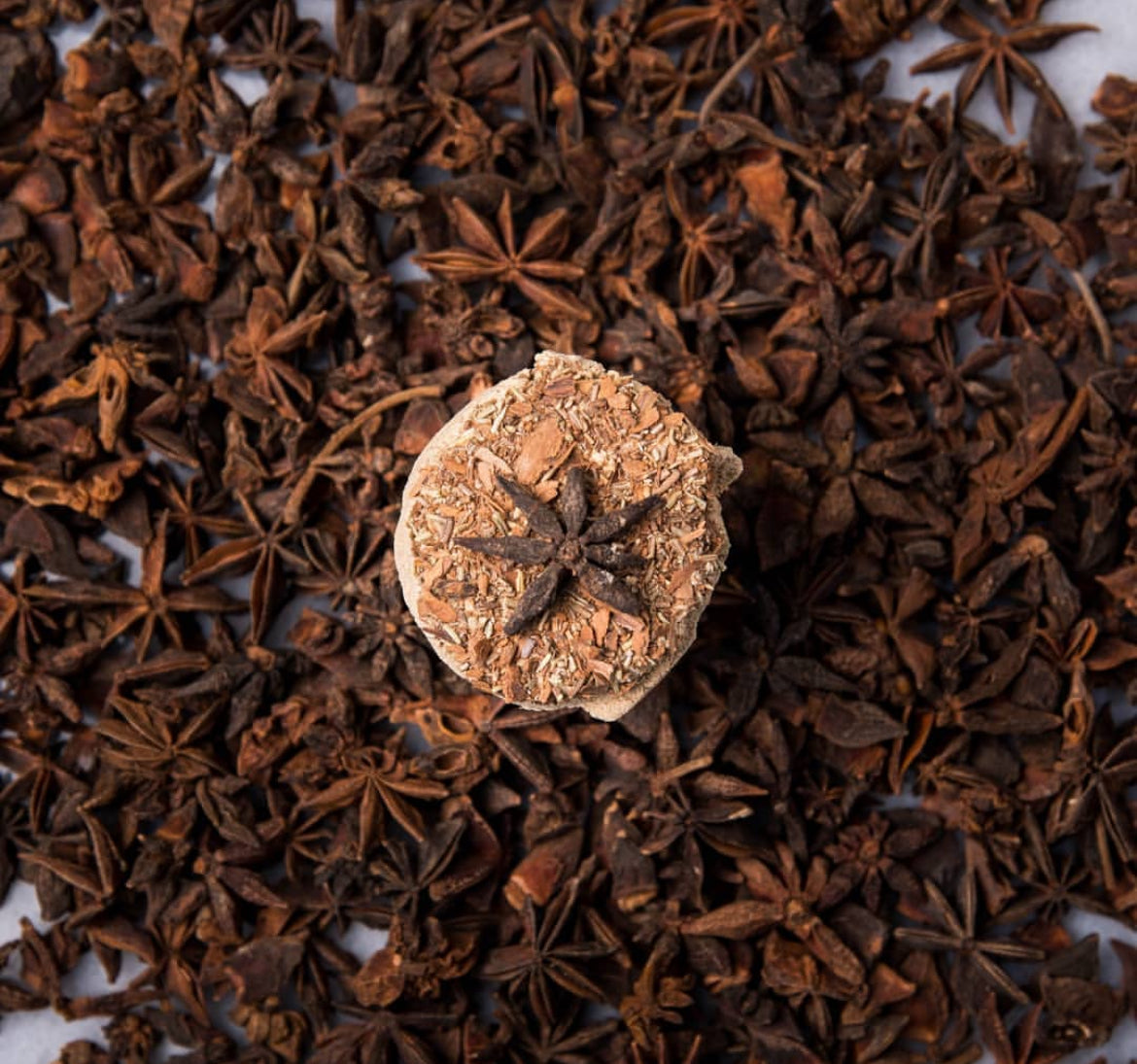 Resin Charcoal Disk | Smoke Cleanse