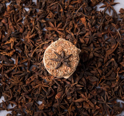 Resin Charcoal Disk | Smoke Cleanse