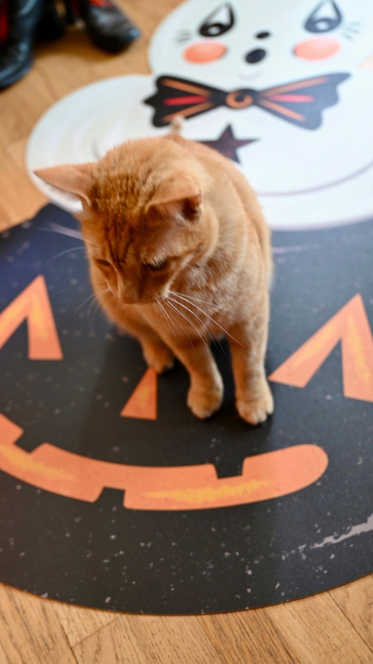 Ghostie in Caudron 56" Die Cut Vinyl Halloween Floor Decor by Johanna Parker Quirks!