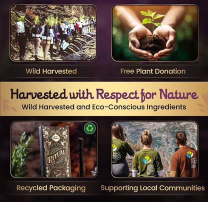 Sandalwood Palo Santo Incense