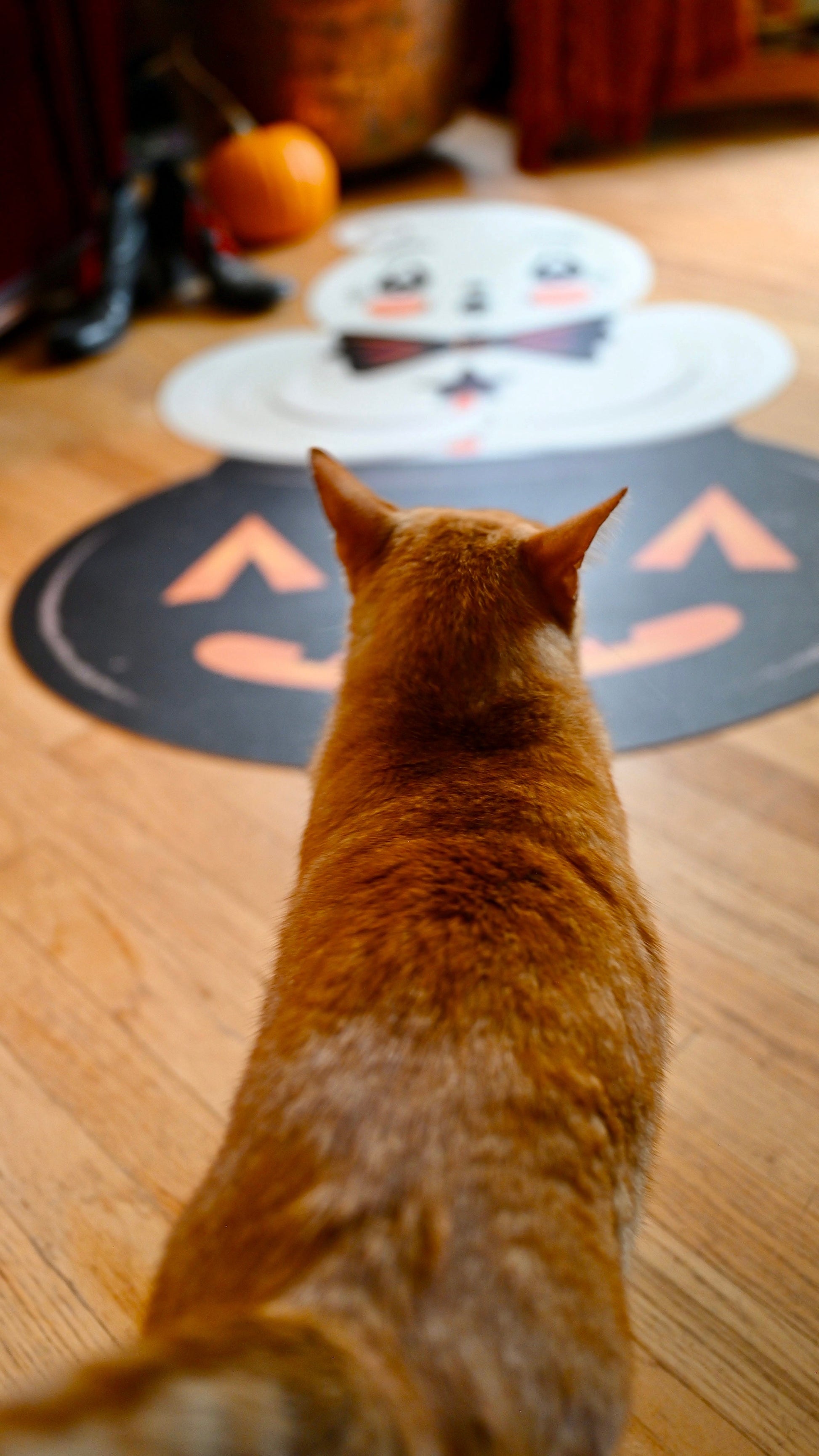 Ghostie in Caudron 56" Die Cut Vinyl Halloween Floor Decor by Johanna Parker Quirks!