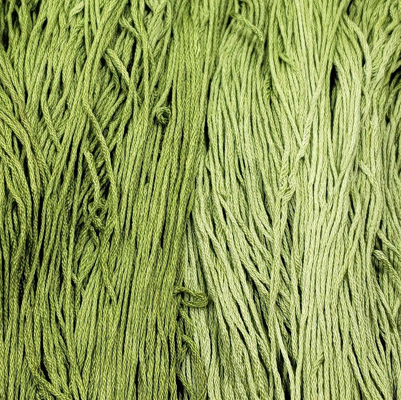 Green Shoots - Flower Silk by StitchyBox (Standard Colorway)