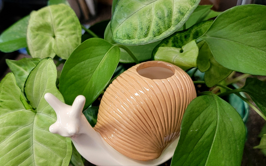 Snail Watering Spike Mountain Mudworks