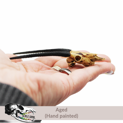 Gemsbok Skull (Field Bones #5: Africa) miniature dollhouse and diorama collectibles by The Scale Grail