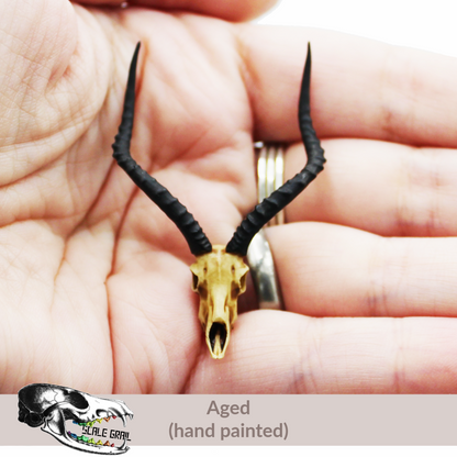 Impala Skull (Field Bones #7: Africa) miniature dollhouse and diorama collectible by The Scale Grail