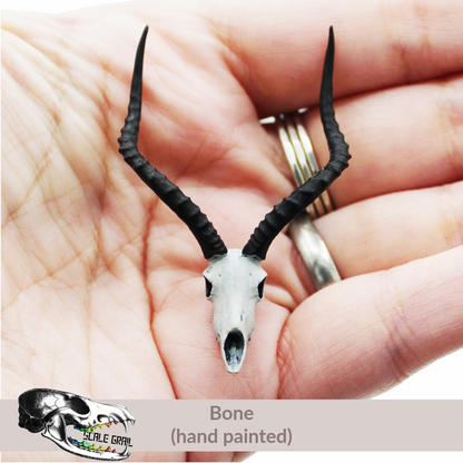 Impala Skull (Field Bones #7: Africa) miniature dollhouse and diorama collectible by The Scale Grail