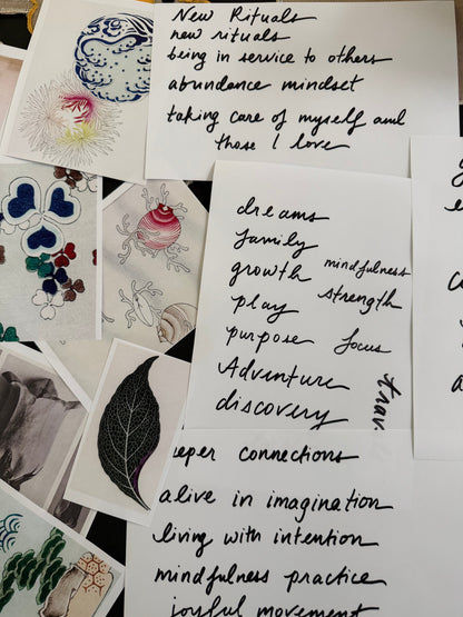The Vision Zine Set