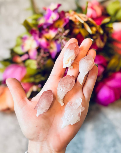 Scepter Quartz From India, New Find! with Pink Hematite