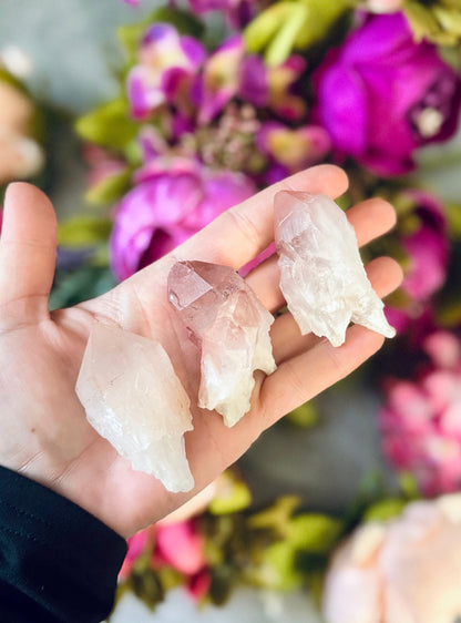 Scepter Quartz From India, New Find! with Pink Hematite