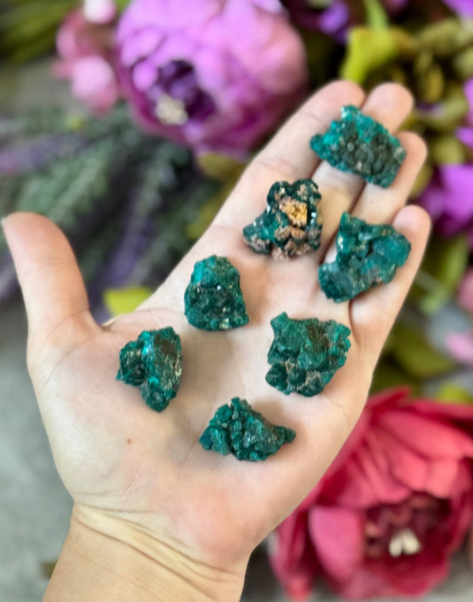 Raw Dioptase Crystal Specimens, Green Dioptase Mineral
