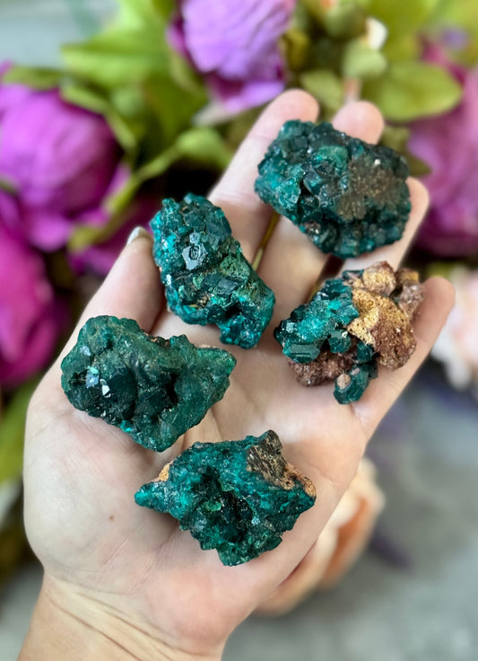 Raw Dioptase Crystal Specimens, Green Dioptase Mineral