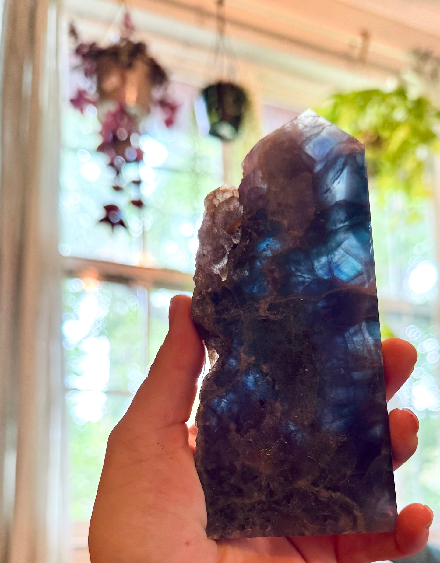 Stunning Fluorite Slices, Fluoresces Pink & Purple