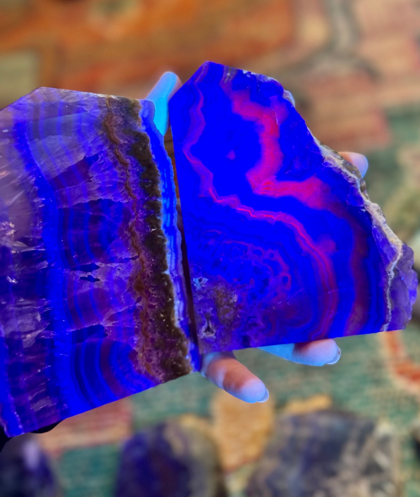 Stunning Fluorite Slices, Fluoresces Pink & Purple