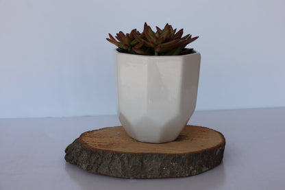 Small Planter