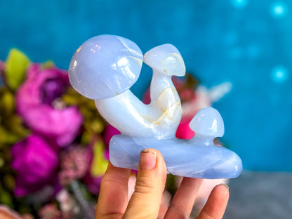 Beautiful 5" Blue Chalcedony MUSHROOM Sculpture