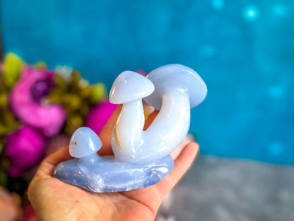 Beautiful 5" Blue Chalcedony MUSHROOM Sculpture