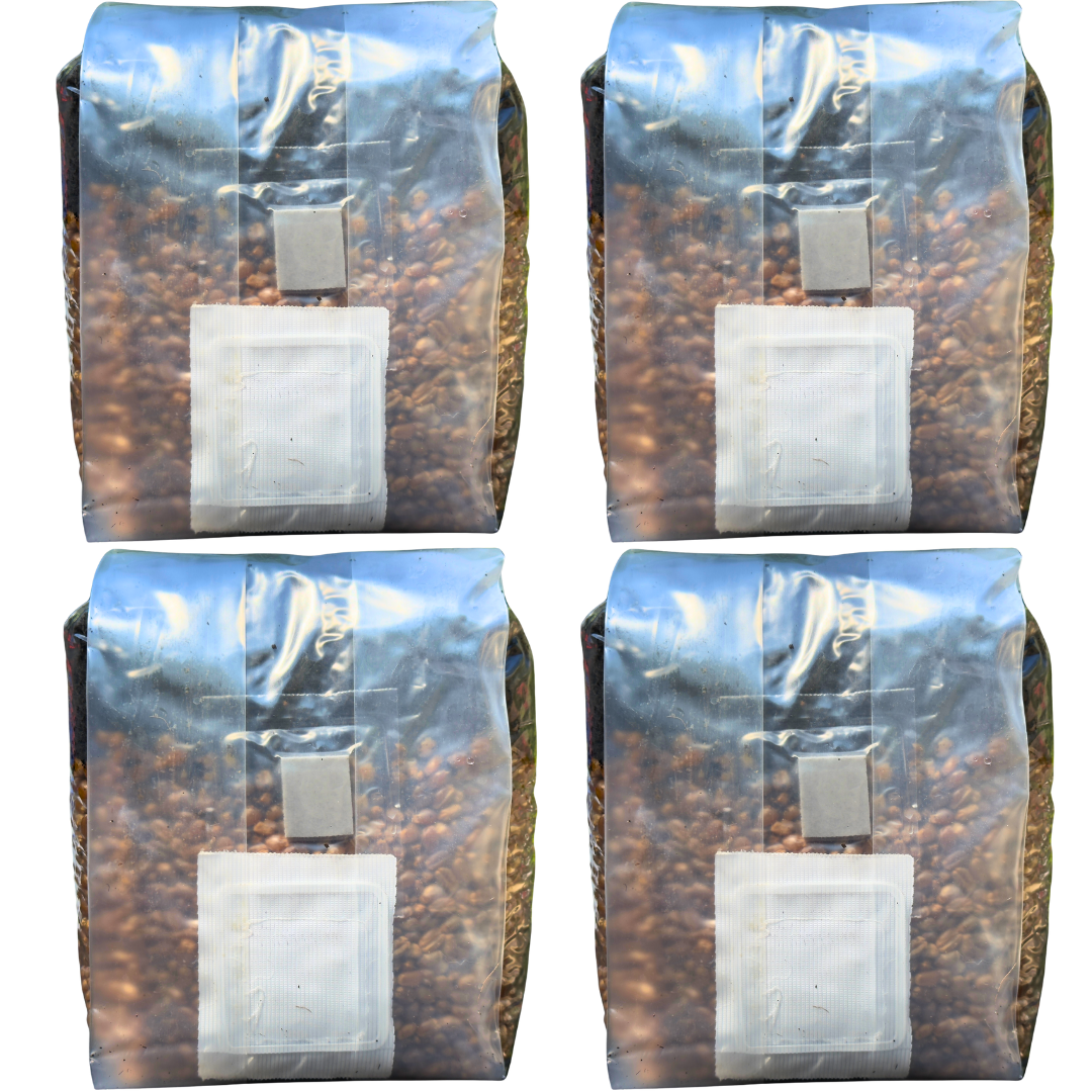 Mushroom Grow Kit - 4 Pack - All In One