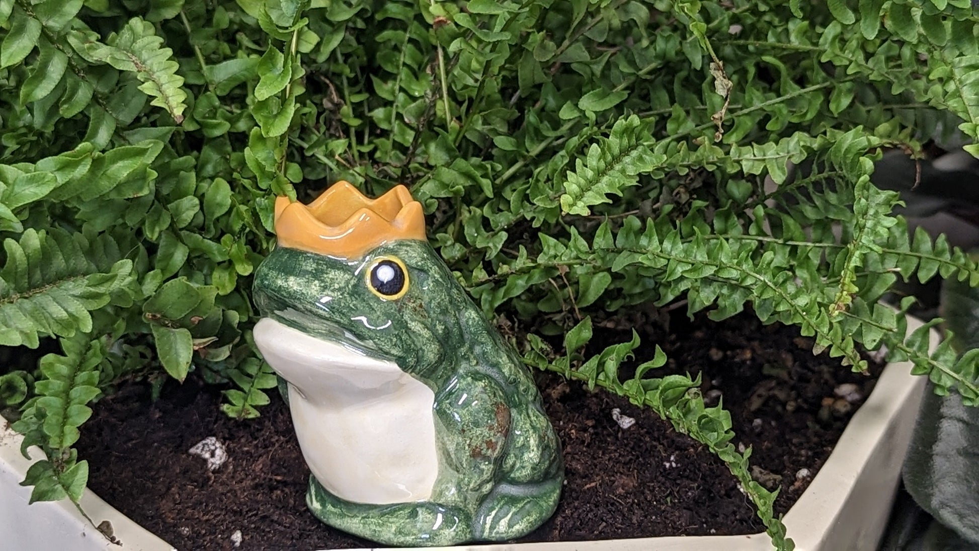 Prince Frog Watering Spike Mountain Mudworks