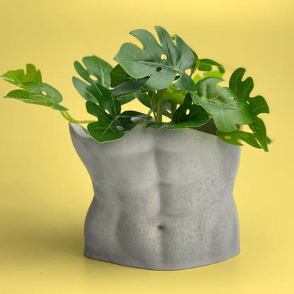 Male Body Planter Pot | TORSO