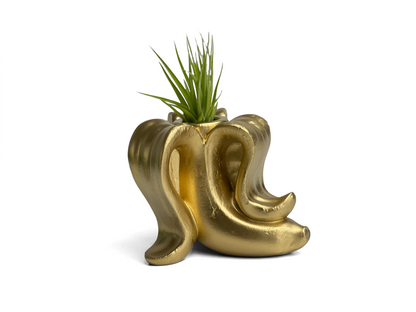 Banana Air Plant Holder