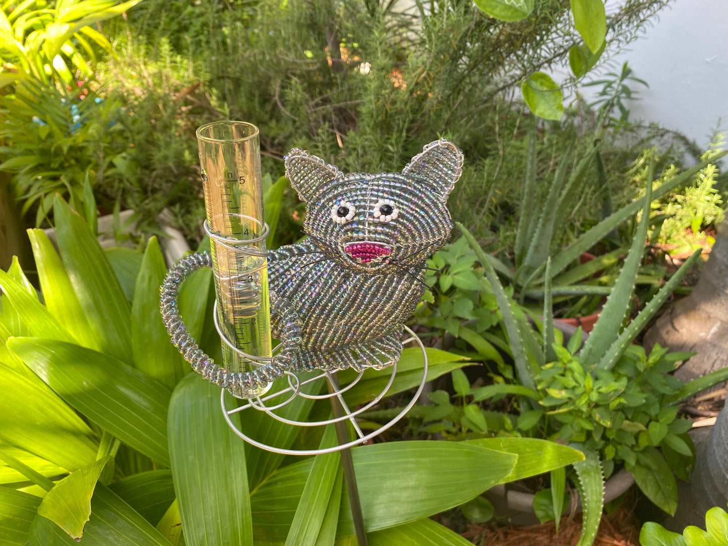 Cat Rain Gauge