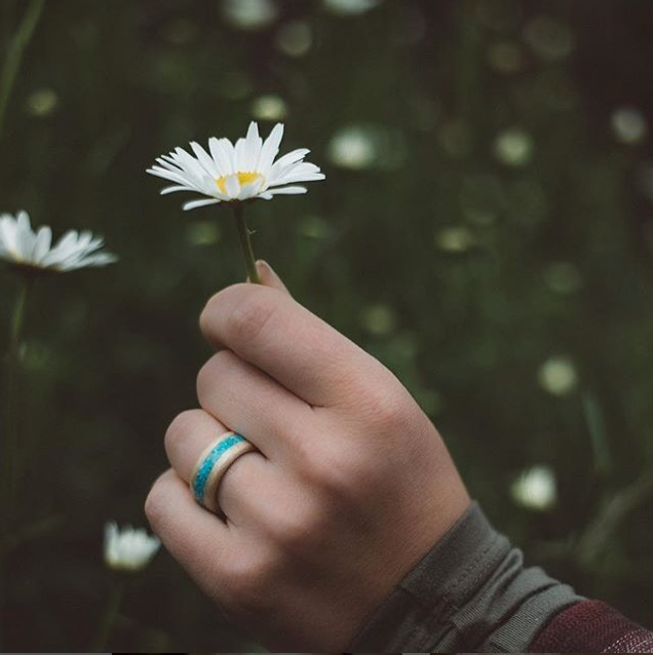 Custom Bentwood Ring