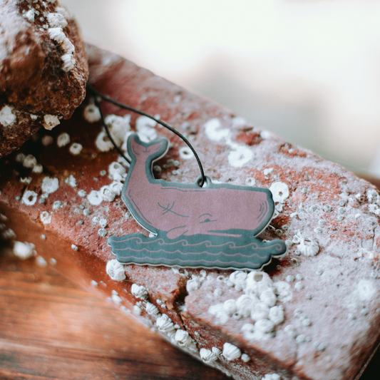 Acadia National Park Air Freshener Good & Well Supply Co.