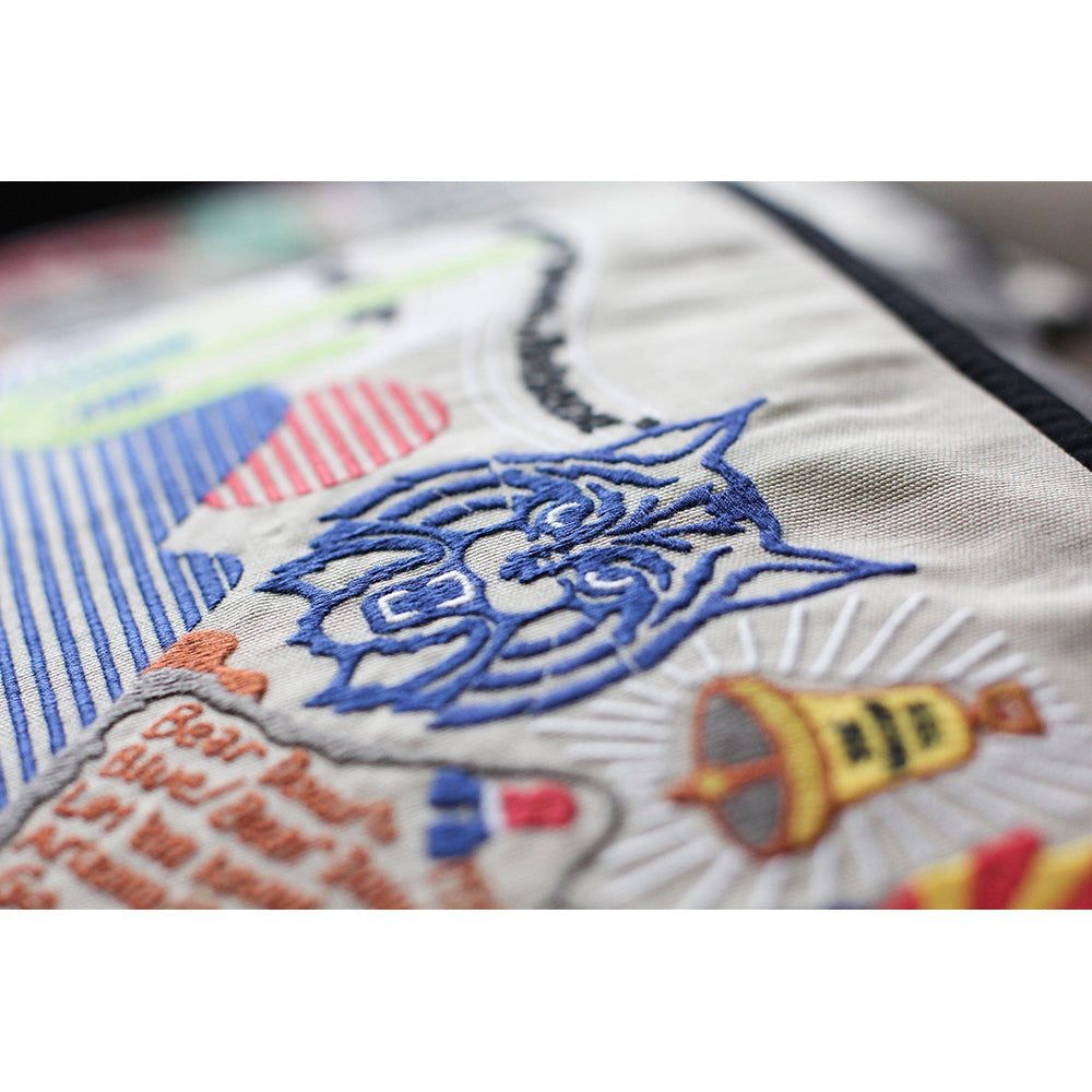 Arizona, University of Collegiate Hand-Embroidered Pillow Quirks!