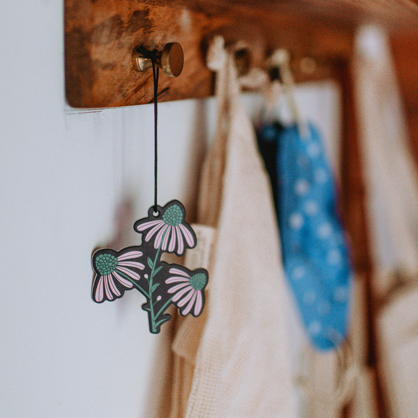 Badlands National Park Air Freshener Good & Well Supply Co.