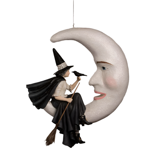 Bewitching Moon Witch by Bethany Lowe Designs Quirks!